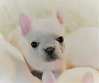 processed/2a00bc58-85ef-4ad4-8fcc-8fff1a98bfe8/facility/ba83bfad-0ea3-4525-ae7c-2f166c81fec2