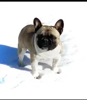 processed/2a00bc58-85ef-4ad4-8fcc-8fff1a98bfe8/facility/c5f12597-566b-4b72-9d0f-453cbb637366