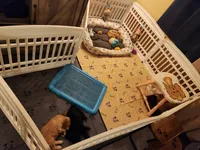 processed/2a1081c2-b07b-4020-932f-4eb7a7a9717d/facility/853a89b0-3564-40de-aa27-f3c5d8766be7