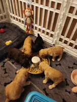 processed/2a1081c2-b07b-4020-932f-4eb7a7a9717d/facility/8c2df4b6-a082-48ab-a15b-448714c90a4e