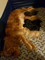 processed/2a1081c2-b07b-4020-932f-4eb7a7a9717d/facility/a4835db2-0011-4189-b1ac-154386a4d9be