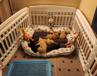 processed/2a1081c2-b07b-4020-932f-4eb7a7a9717d/facility/f4d72d2b-b971-4b1b-b91c-53771bc733d0