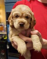 processed/2a1081c2-b07b-4020-932f-4eb7a7a9717d/listing/d42fd512-9bee-45a3-ad21-b29cf6537542/5f56698e-724e-4759-bcb0-35612821ddf9