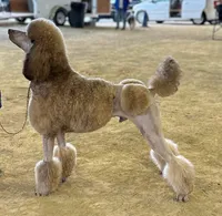 processed/2a123c31-91b5-49ef-8fc8-0bc9d5cba6c5/facility/3e9acf38-8b63-466a-99d2-b8adfc37c549