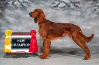 processed/2a123c31-91b5-49ef-8fc8-0bc9d5cba6c5/facility/a05a557b-858b-4dd6-839c-df246c3d29e9