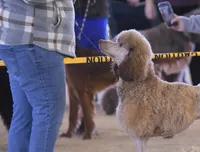 processed/2a123c31-91b5-49ef-8fc8-0bc9d5cba6c5/facility/aeec154c-1946-43fe-b9e0-517d08b9a644