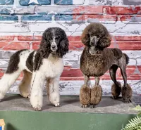 processed/2a123c31-91b5-49ef-8fc8-0bc9d5cba6c5/facility/cf0e27dc-878e-48f9-846f-e06aeceb5d64