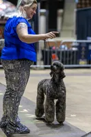 processed/2a123c31-91b5-49ef-8fc8-0bc9d5cba6c5/facility/e36a8dad-4a60-4d39-9c3f-34ff00ea7485