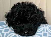 processed/2a15112b-dd8e-4bf3-815b-2b47ff55cf36/facility/117cff87-de86-4c57-b5ed-04a8732f63bf