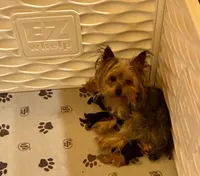 processed/2a15112b-dd8e-4bf3-815b-2b47ff55cf36/facility/1fb2d94b-f843-487b-b5ba-54388f8d534a