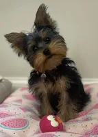 processed/2a15112b-dd8e-4bf3-815b-2b47ff55cf36/facility/44d2da98-ba8d-460e-af99-d9fb0e7650c8