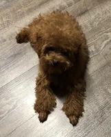 processed/2a15112b-dd8e-4bf3-815b-2b47ff55cf36/facility/6f2a0a5d-96d7-4e74-8ef5-44ebf8a68a95