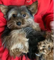 processed/2a15112b-dd8e-4bf3-815b-2b47ff55cf36/facility/9666bd46-8d6f-427d-8a1f-4d978e8d57ac