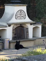 Muffin, a female German Shepherd Dog for sale in West Covina, CA – 2 of 3