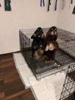Facility photo