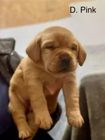 processed/2a361549-7cc0-470f-9bf3-8e021f1a9208/facility/1304bb6c-0e77-44a0-8a97-5f1fb4225594