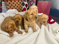 processed/2a361549-7cc0-470f-9bf3-8e021f1a9208/facility/50bcb302-89de-47f2-bdaf-ac4d53619b80