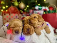 processed/2a361549-7cc0-470f-9bf3-8e021f1a9208/facility/8e59077a-9575-41d9-b120-5d52131ea748