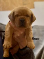 processed/2a361549-7cc0-470f-9bf3-8e021f1a9208/facility/be526855-e9ea-4953-a10b-b084a7a0bdf6