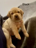 processed/2a361549-7cc0-470f-9bf3-8e021f1a9208/facility/bf0692c0-41d0-49c1-a6f1-102d9d4ea708