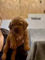 processed/2a361549-7cc0-470f-9bf3-8e021f1a9208/facility/c3b8fed7-cfd5-4252-87b3-3c3aebb689e9