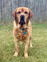 processed/2a361549-7cc0-470f-9bf3-8e021f1a9208/facility/ea4afffd-e4e5-4780-9bc4-df6a1cd00d67