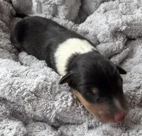 processed/2a3db8e8-e6fb-4412-9c47-93163c810666/listing/0e42576e-84cb-44d1-affd-83131a018cc3/0c197193-1649-4fb0-a2a5-6b39830430d9