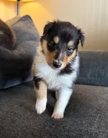 processed/2a3db8e8-e6fb-4412-9c47-93163c810666/listing/0e42576e-84cb-44d1-affd-83131a018cc3/3c8c7c7f-fec3-47fb-8710-b0c5dd306a8b