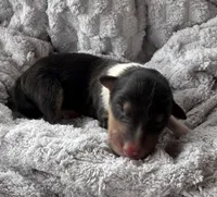 processed/2a3db8e8-e6fb-4412-9c47-93163c810666/listing/0e42576e-84cb-44d1-affd-83131a018cc3/5436d30e-4503-4631-85b1-24c7c8125c51