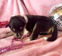 processed/2a3db8e8-e6fb-4412-9c47-93163c810666/listing/0e42576e-84cb-44d1-affd-83131a018cc3/7d0e5e93-e909-432f-a2c6-a4fc6ae6df96