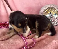 processed/2a3db8e8-e6fb-4412-9c47-93163c810666/listing/0e42576e-84cb-44d1-affd-83131a018cc3/83dc4ffd-3b98-4023-b933-cd9e6a655281