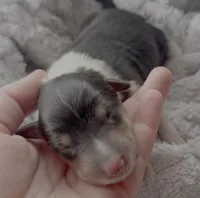 processed/2a3db8e8-e6fb-4412-9c47-93163c810666/listing/0e42576e-84cb-44d1-affd-83131a018cc3/d227c5b2-98bc-496d-a535-517f2bdda5a4