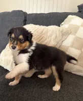 processed/2a3db8e8-e6fb-4412-9c47-93163c810666/listing/0e42576e-84cb-44d1-affd-83131a018cc3/fc03479c-5235-49b7-bcd6-674ab2bc3879