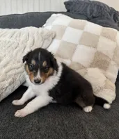 processed/2a3db8e8-e6fb-4412-9c47-93163c810666/listing/56296bfa-11b9-4950-a4eb-0ee7aa7aa96a/1d631817-0947-42a0-afad-0159e8f06aaa