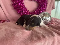 processed/2a3db8e8-e6fb-4412-9c47-93163c810666/listing/56296bfa-11b9-4950-a4eb-0ee7aa7aa96a/48a0f0bc-6d0b-4cf4-89a2-0aacb8c29a2e