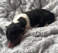 processed/2a3db8e8-e6fb-4412-9c47-93163c810666/listing/56296bfa-11b9-4950-a4eb-0ee7aa7aa96a/6ba9234c-757d-4fdc-8b38-f42c20b6a6bd