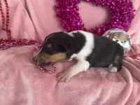 processed/2a3db8e8-e6fb-4412-9c47-93163c810666/listing/56296bfa-11b9-4950-a4eb-0ee7aa7aa96a/ad3d03ec-ea42-4cd2-8f8f-71a998d3d17b