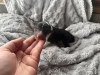 processed/2a3db8e8-e6fb-4412-9c47-93163c810666/listing/56296bfa-11b9-4950-a4eb-0ee7aa7aa96a/af33070d-dc23-455e-b638-d31ad1430e9b