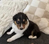 processed/2a3db8e8-e6fb-4412-9c47-93163c810666/listing/56296bfa-11b9-4950-a4eb-0ee7aa7aa96a/c8680fb5-1310-4d7a-8fb9-b830dae7d6d0