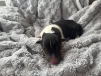 processed/2a3db8e8-e6fb-4412-9c47-93163c810666/listing/56296bfa-11b9-4950-a4eb-0ee7aa7aa96a/ebdad3eb-a4af-418f-a6d4-d06be87517b0