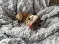 processed/2a3db8e8-e6fb-4412-9c47-93163c810666/listing/b70ad3c0-5958-4052-9b02-67df205decae/46fdd4dd-ffe6-400e-864b-9d994cd61593