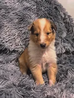 processed/2a3db8e8-e6fb-4412-9c47-93163c810666/listing/b70ad3c0-5958-4052-9b02-67df205decae/646717dd-d3ae-4761-af7d-95a3bfb0d23c