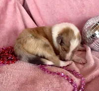 processed/2a3db8e8-e6fb-4412-9c47-93163c810666/listing/b70ad3c0-5958-4052-9b02-67df205decae/a670e421-0ff4-4272-88b2-fc81d89511ba