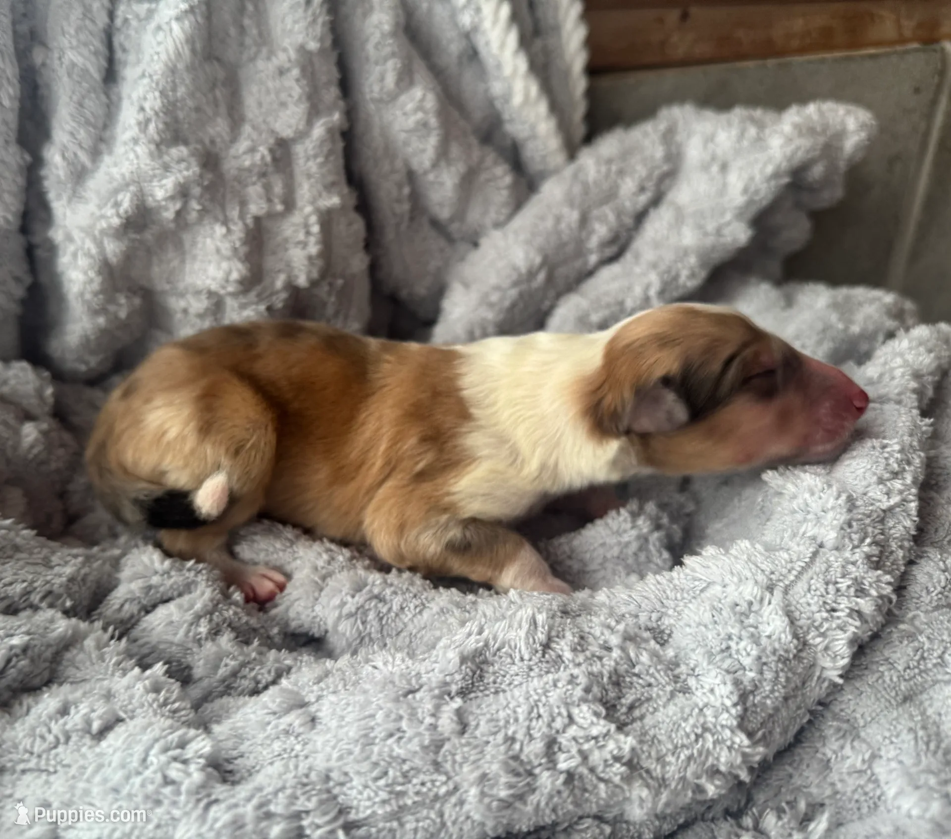 processed/2a3db8e8-e6fb-4412-9c47-93163c810666/listing/b70ad3c0-5958-4052-9b02-67df205decae/b79017c6-2964-4e0c-b426-7522669e7e46