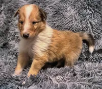 processed/2a3db8e8-e6fb-4412-9c47-93163c810666/listing/b70ad3c0-5958-4052-9b02-67df205decae/be10dc1c-5414-4db4-804b-e8bebc85e0e0