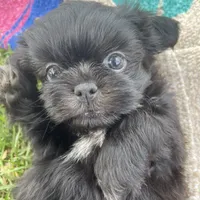 processed/2a4057bb-3a90-452f-947e-7077e9e80ba9/facility/1c1313e8-7873-49d0-81cd-b11ff9a091ab