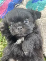 processed/2a4057bb-3a90-452f-947e-7077e9e80ba9/facility/1c1313e8-7873-49d0-81cd-b11ff9a091ab