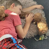 processed/2a4057bb-3a90-452f-947e-7077e9e80ba9/facility/344d8bb5-eeae-44e3-bf1a-a37d88becd89