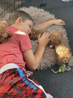 processed/2a4057bb-3a90-452f-947e-7077e9e80ba9/facility/344d8bb5-eeae-44e3-bf1a-a37d88becd89