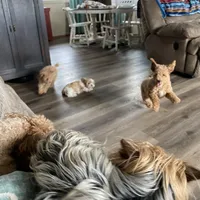 processed/2a4057bb-3a90-452f-947e-7077e9e80ba9/facility/4346dc10-3557-4194-9b29-7d7c06d6df1e